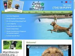 Sites similar to myluckypuppy.com