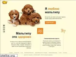 Sites similar to mymaltipoo.ru