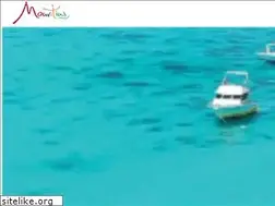 Sites similar to mymauritius.travel