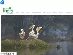 Sites similar to mymeraindia.com