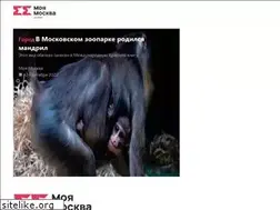 Sites similar to mymsk.online