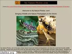 Sites similar to mynaturephotos.com