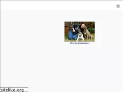 Sites similar to myolddogbook.com