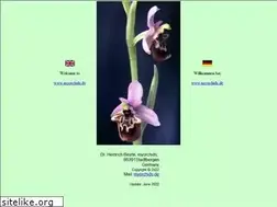 Sites similar to myorchids.de