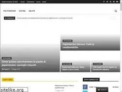 Sites similar to mypepper.it