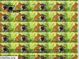 Sites similar to mypetshop.co.za