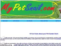 Sites similar to mypetsnail.com
