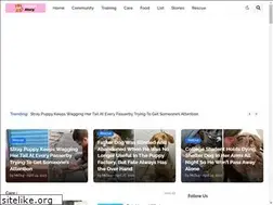 Sites similar to myphamau.com