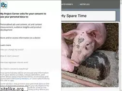 Sites similar to myprojectcorner.com