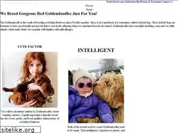 Sites similar to myredgoldendoodles.com