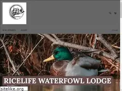 Sites similar to myricelife.com