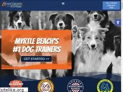 Sites similar to myrtlebeachdogtrainers.com