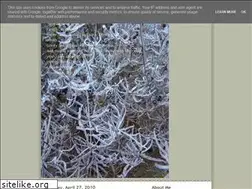 Sites similar to mysimplelife-debi.blogspot.com