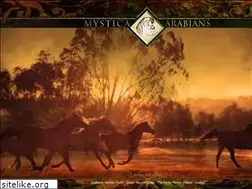Sites similar to mysticaarabians.com