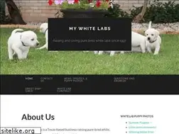 Sites similar to mywhitelabs.com