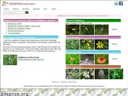 Sites similar to mywildflowers.com