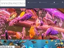 Sites similar to n71.top