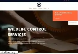 Sites similar to n7v.net