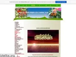 Sites similar to naatlar.tr.gg