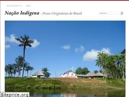 Sites similar to nacaoindigena.com