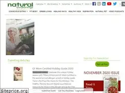 Sites similar to nachicago.com