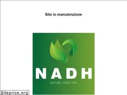 Sites similar to nadh-italia.it