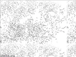 Sites similar to nadiabader.ch