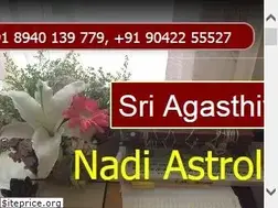 Sites similar to nadiastrology.online