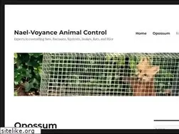 Sites similar to nael-voyance.com