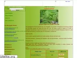 Sites similar to nagbala.com