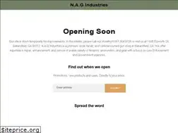 Sites similar to nagindustries.com