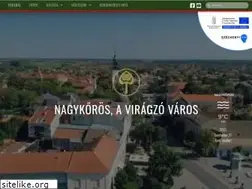 Sites similar to nagykoros.hu