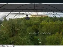 Sites similar to nahaletorabi.ir