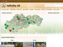 Sites similar to nahuby.sk