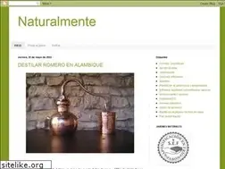 Sites similar to naima-dm.blogspot.com