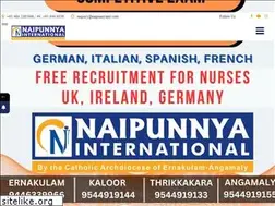 Sites similar to naipunnyaint.com