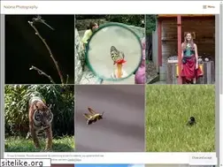 Sites similar to najera.photography