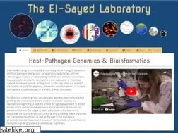 Sites similar to najibelsayed.org