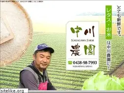Sites similar to nakagawa-noen.com