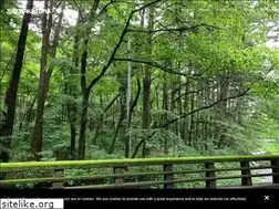 Sites similar to nakajimajun.com