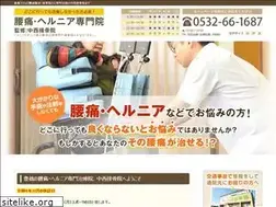 Sites similar to nakanishisekkotsuin.com