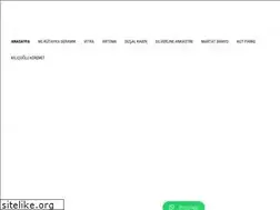 Sites similar to nakidemir.com.tr