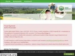Sites similar to naknonprofit.hu
