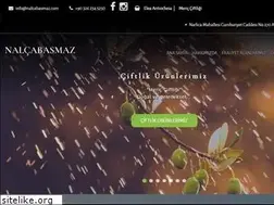 Sites similar to nalcabasmaz.com