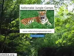 Sites similar to nallamalaijunglecamps.com