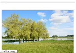 Sites similar to nallet.fr