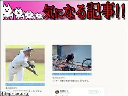 Sites similar to nami55.xyz