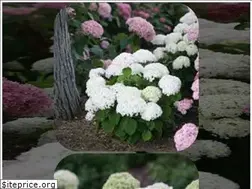 Sites similar to namu4u.co.kr