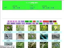 Sites similar to nandemo-zukan.net