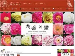 Sites similar to nanyo-syakuyaku.com